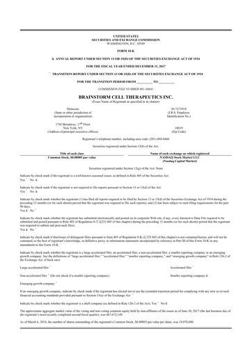Vorschaubild BrainStorm Cell Therapeutics 10-K Jahresbericht 2017