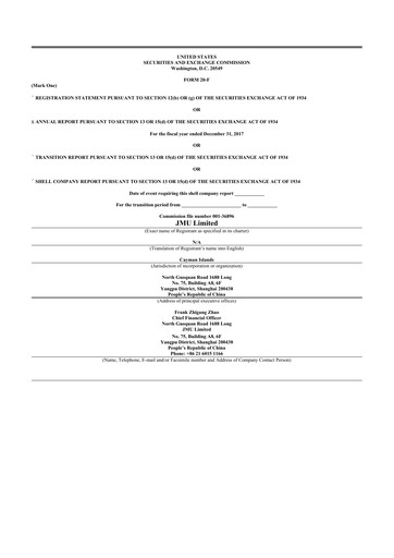 Thumbnail Chaince Digital Holdings 20-F Annual Report 2017