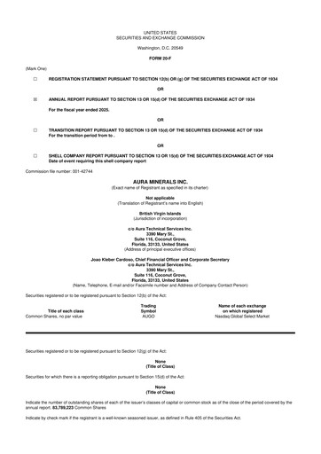 Thumbnail Aura Minerals 20-F Annual Report 