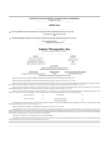 Miniature Amicus Therapeutics
 10-K Rapport annuel 2019
