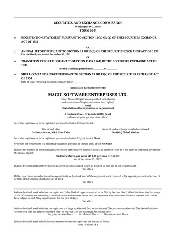 Thumbnail Magic Software 20-F Annual Report 