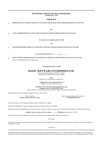 Thumbnail Magic Software 20-F Annual Report 