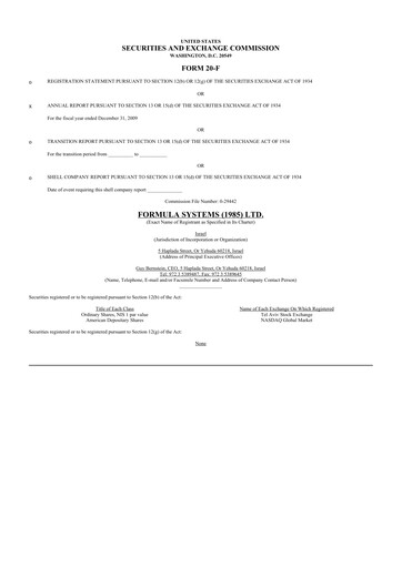 Thumbnail Formula Systems
 20-F Annual Report 