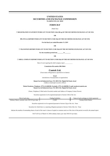 Thumbnail Camtek 20-F Annual Report 2019