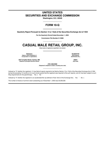 Thumbnail Destination XL 10-Q Quarterly Report FY 