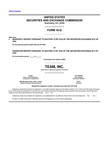 Thumbnail Team Inc 10-Q Quarterly Report FY 