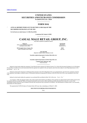 Thumbnail Destination XL 10-K Annual Report 