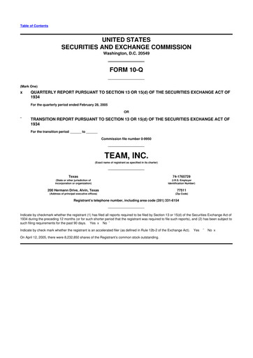 Thumbnail Team Inc 10-Q Quarterly Report FY 