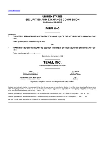 Thumbnail Team Inc 10-Q Quarterly Report FY 