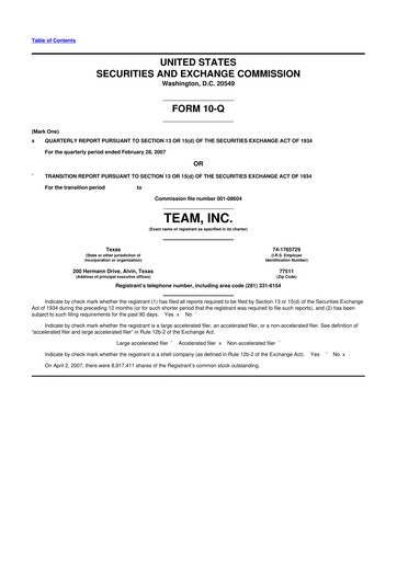 Thumbnail Team Inc 10-Q Quarterly Report FY 