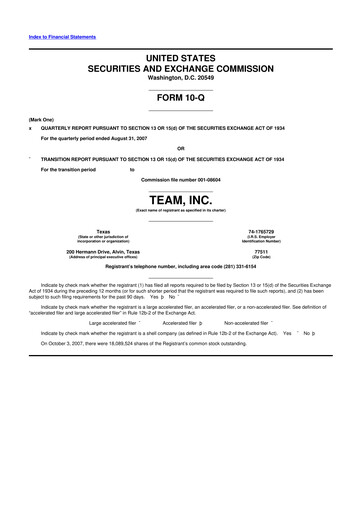 Thumbnail Team Inc 10-Q Quarterly Report FY 