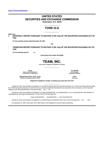 Thumbnail Team Inc 10-Q Quarterly Report FY 