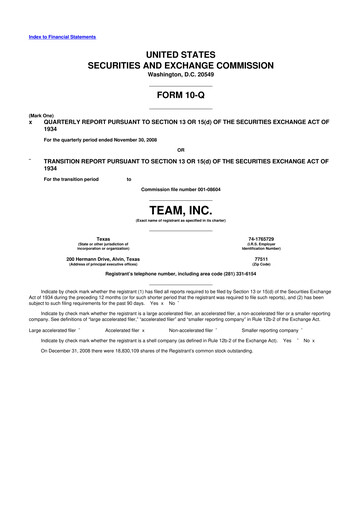 Thumbnail Team Inc 10-Q Quarterly Report FY 