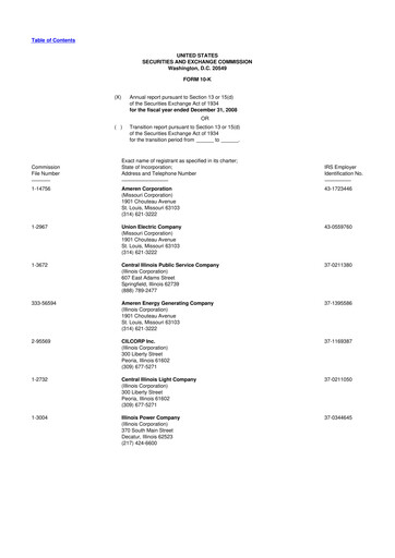 Miniature Ameren
 10-K Rapport annuel 