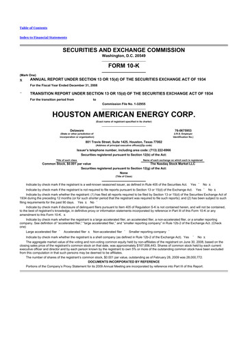 Thumbnail Houston American Energy 10-K Annual Report 