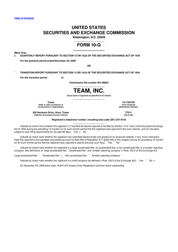 Thumbnail Team Inc 10-Q Quarterly Report FY 