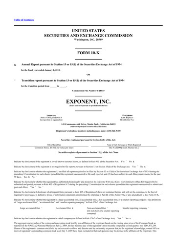 Thumbnail Exponent
 10-K Annual Report 