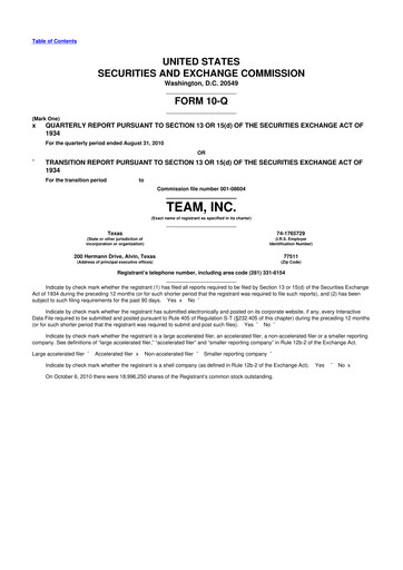 Thumbnail Team Inc 10-Q Quarterly Report FY 