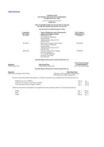 Thumbnail TXNM Energy 10-K Annual Report 2010