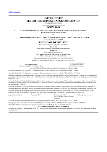 Thumbnail Home Depot 10-K Annual Report 2010