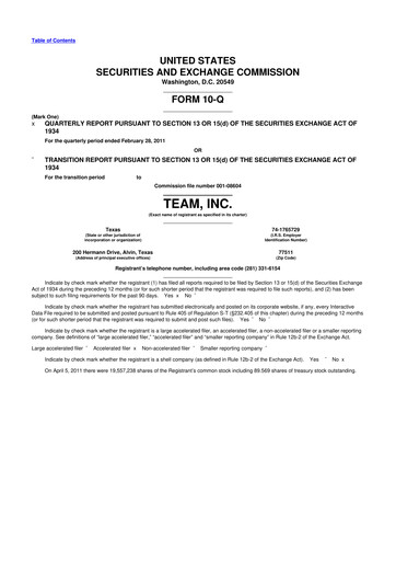 Thumbnail Team Inc 10-Q Quarterly Report FY 