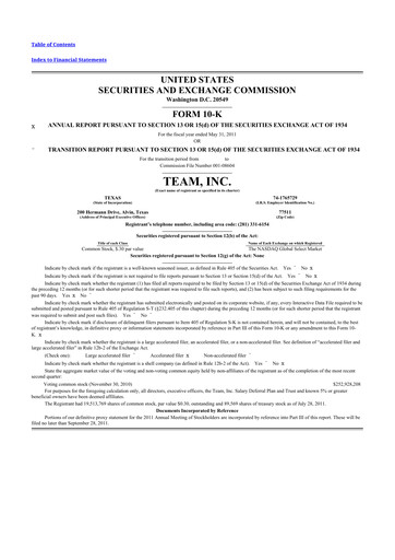 Thumbnail Team Inc 10-K Annual Report 