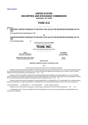 Thumbnail Team Inc 10-Q Quarterly Report FY2012 