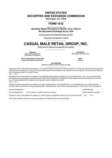 Thumbnail Destination XL 10-Q Quarterly Report FY2011 