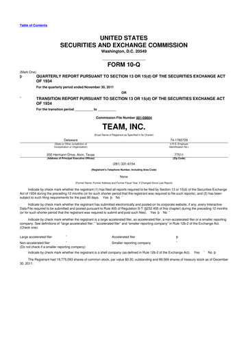 Thumbnail Team Inc 10-Q Quarterly Report FY2012 