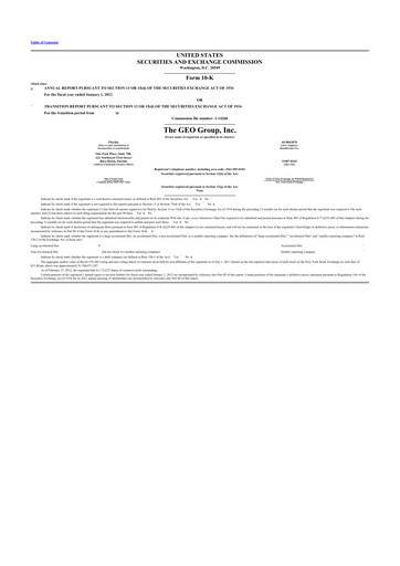 Thumbnail Geo Group 10-K Annual Report 2011