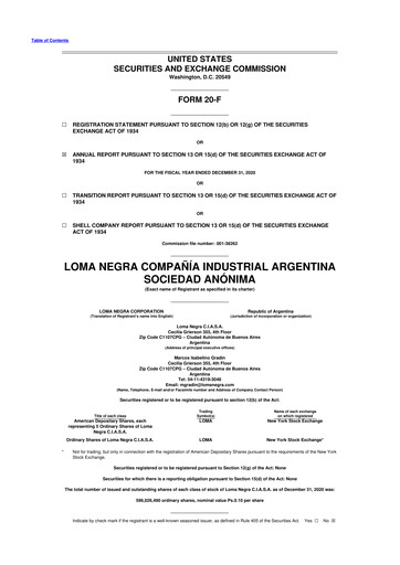Thumbnail Loma Negra 20-F Annual Report 2020
