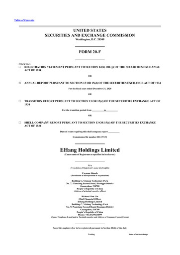 Thumbnail EHang Holdings 20-F Annual Report 2020