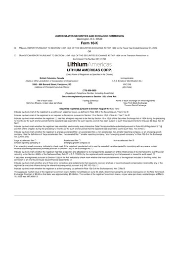 Miniature Lithium Americas 10-K Rapport annuel 2025