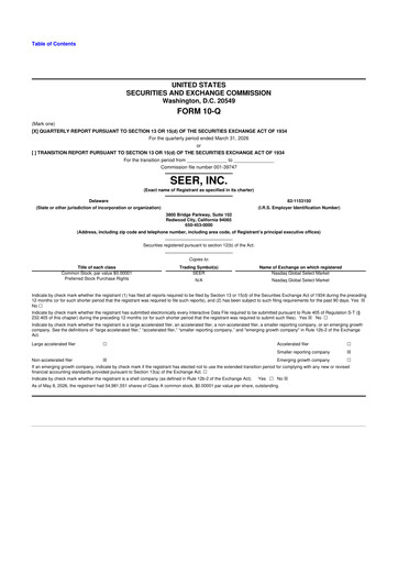 Thumbnail Seer Inc 10-Q Quarterly Report FY 