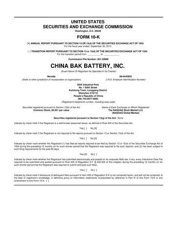 Miniature CBAK Energy Technology 10-K Rapport annuel 