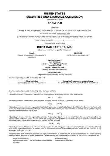 Miniature CBAK Energy Technology 10-K Rapport annuel 2011