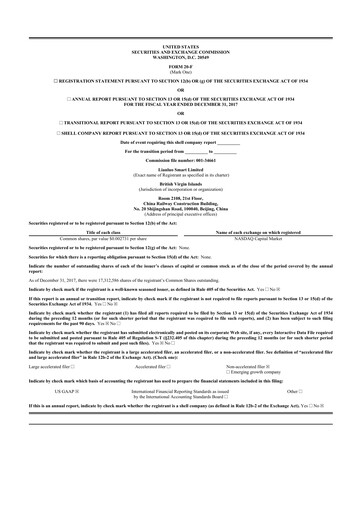 Thumbnail Newegg 20-F Annual Report 2017