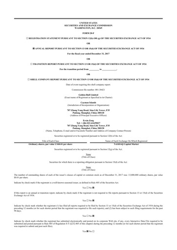 Thumbnail Bit Digital
 20-F Annual Report 2017