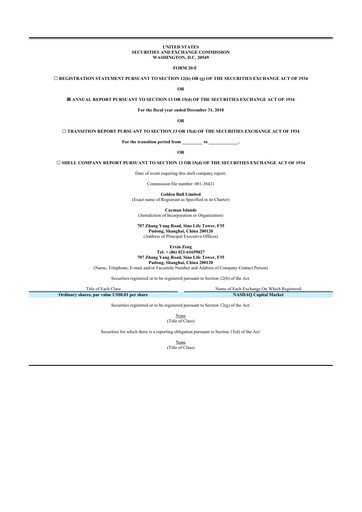 Thumbnail Bit Digital
 20-F Annual Report 2018