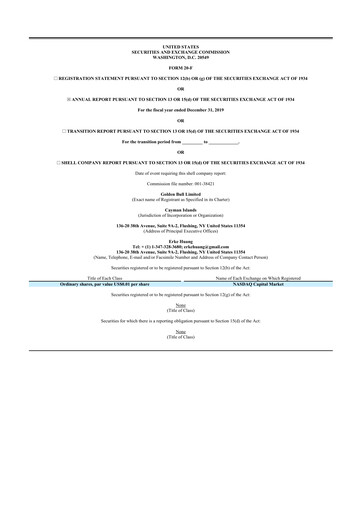 Thumbnail Bit Digital
 20-F Annual Report 2019