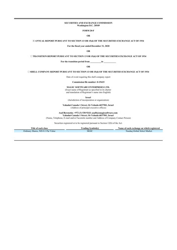 Thumbnail Magic Software 20-F Annual Report 2020