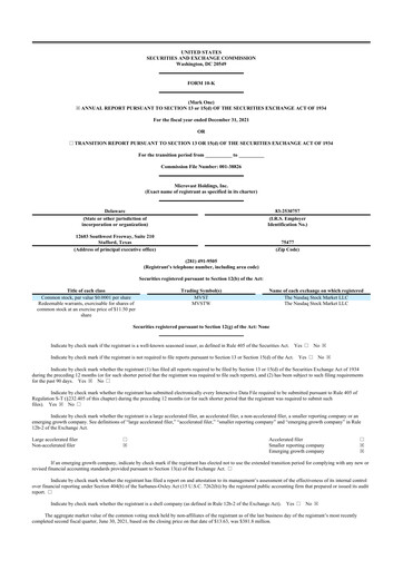 Thumbnail Microvast 10-K Annual Report 2021