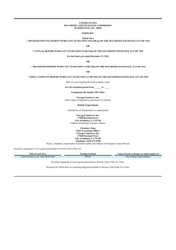 Thumbnail Newegg 20-F Annual Report 2023