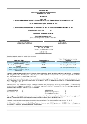 Vorschaubild Merlin, Inc. 10-Q Quartalsbericht  