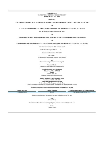 Thumbnail BloomZ 20-F Annual Report 2024