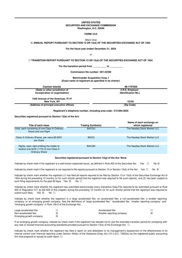 Thumbnail Merlin, Inc. 10-K Annual Report 