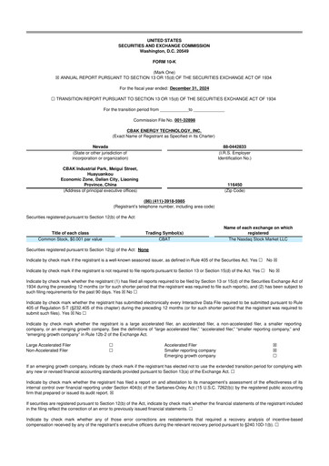 Miniature CBAK Energy Technology 10-K Rapport annuel 2024