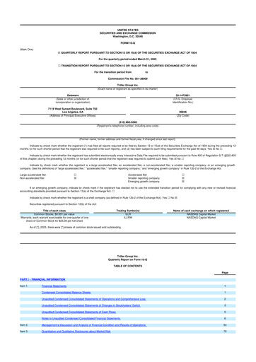 Vorschaubild Triller Group 10-Q Quartalsbericht  
