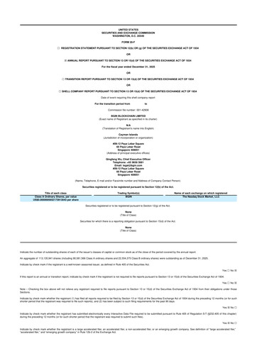 Thumbnail Bgin Blockchain 20-F Annual Report 