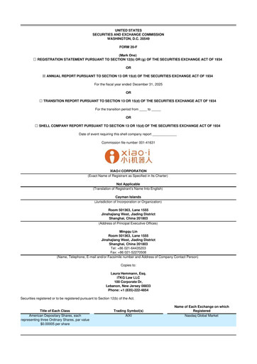Miniature Xiao-I 20-F Rapport annuel 